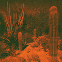 Anticipation [LP]
