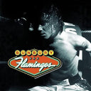 BUNBURY - Flamingos (2LP + CD) (Vinyl LP)