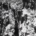Den Sorte Dod [LP]