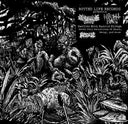 Cryptic Brood & Night Hag - Swollen With Rancid Phlegm [LP]