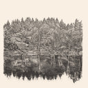 Unlit Trail [LP]