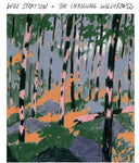 Changing Wilderness [LP]