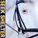 Iceage - Seek Shelter [LP]