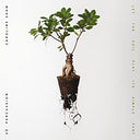 Caroline Shaw - Let the Soil Play Its Simple Part [LP]