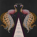 New Age Soul [LP]