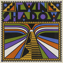 Twin Shadow - Twin Shadow (Gate) [Limited Edition]