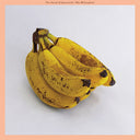 Mac McCaughan - Sound of Yourself (IEX) (Pink & Orange Swirl Vinyl) (Indie Exclusive Vinyl)