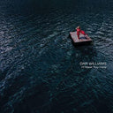Dar Williams - I'll Meet You Here [LP]