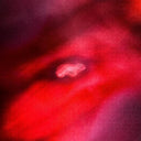Saffronkeira / Siavash Amini - Faded Orbit [Indie Exclusive Limited Edition Red LP]
