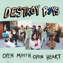 Destroy Boys - Open Mouth, Open Heart (IEX) (Pink Vinyl) (Indie Exclusive Vinyl)