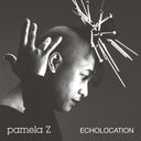 Echolocation (Natural Swirl Vinyl) [Colored Vinyl]