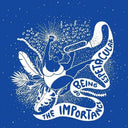 Importance Of Being Espetacular (Uk) [LP]