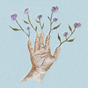 Ophelias - Crocus (Pale Yellow Vinyl) [Colored Vinyl] (Ylw)