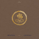 Collected Pieces: 2015-2020 [Gold Ripple 2LP]