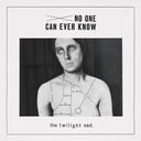 Twilight Sad - No One Can Ever Know [LP]