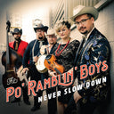 Never Slow Down [LP]