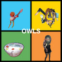 Owls - Owls [LP]