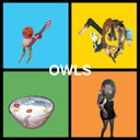 Owls - Owls [Indie Exclusive Limited Edition Translucent Blood Orange LP]