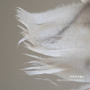 Marching With Feathers [LP]