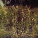 Pluralone - Across The Park B/W Sevens [Vinyl Single]