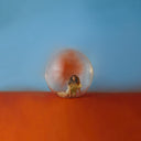 Alessia Cara - In The Meantime [LP]