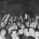 Liam Gallagher - C'MON YOU KNOW (Indie Exclusive Vinyl)