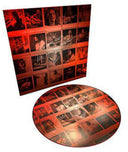 Chris Cornell - No One Sings Like You Anymore [Limited Edition] (Pict)