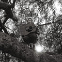 Ty Segall - Hello, Hi [LP]