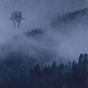When The Night Falls [LP]