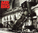 Mr. Big - Lean Into It (Vinyl LP)