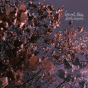 Internal Radio [Lavender LP]