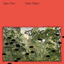 Dylan Moon - Option Explore (iex) - Emerald Green (Indie Exclusive Vinyl)