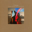 Everything Was Forever Until It Was No More [180 Gram]