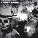 Old Bones New Fire [LP]