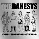 Sentences I'd Like To Hear The End Of [LP]