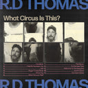 What Circus Is This ? [LP]