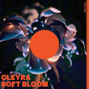 Soft Bloom [12" Vinyl]