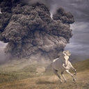 The White Buffalo - Year Of The Dark Horse [Limited Edition Transparent Blue LP]