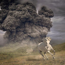 The White Buffalo - Year Of The Dark Horse [CD]