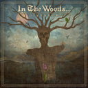 In the Woods... - DIVERSUM [LP]