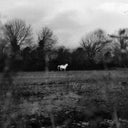 Flatsound - When You Run Away, Do You Close Your Eyes (Blk) [LP]