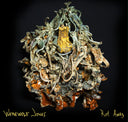 Rot Away [LP]