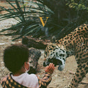 Unknown Mortal Orchestra - V [Legendary Edition 2LP]
