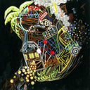 S.P. [Limited Edition Clear LP]
