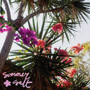 Summer Salt - Campanita [Colored Vinyl] (Pnk)
