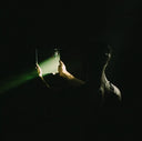 Spoken - Reflection [Indie Exclusive Limited Edition Ocean Floor 2 LP]