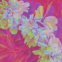 Flatwaves - Numbra [LP]