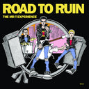 Mr. T Experience - Road To Ruin [LP]