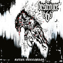 Destroyer 666 - Never Surrender [Clear Vinyl] [Limited Edition] (Wht)