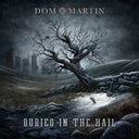 Dom Martin - Buried In The Hail [LP]